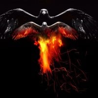 Bird of FIRE