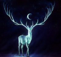 Deer Under the Moon