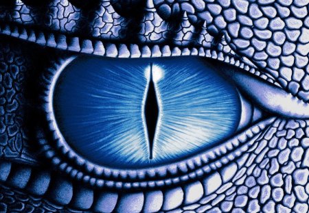 Dragon Eyes - dragon, fantasy, eyes, blue