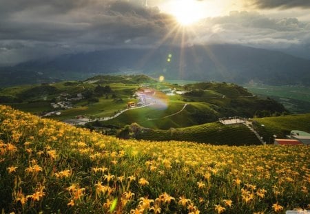 Beautiful mountain - mountian, flowers, nature, beautiful