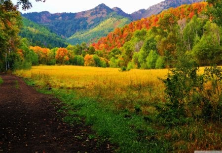 Fall colors - fall, colors, mountains, nature