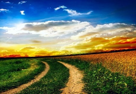 sunrise - path, nature, beautiful, fields, sunrise, sky