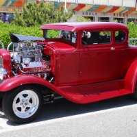 Red 31