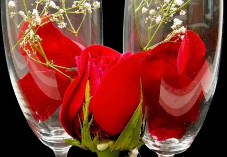 Red roses - roses, flowers, nature, glass