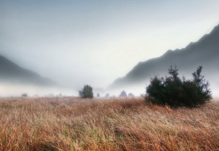 A foggy morning - 2012, picture, foggy, 06, 16, natural