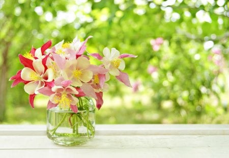 Beautiful Flowers - with love for you, beautiful, vase, spring flowers, photography, nature, spring time, pretty, beauty, flowers, spring, sweet, bokeh, lovely, splendor, colors, green