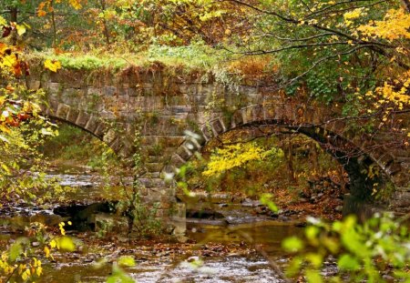 Forgotten Bridge - trees, daylight, day, water, moss, nature, forest, river, architecture, leaves, stones, grass, bridge, vines