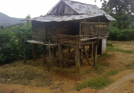 dangau mat - cottage, field, home, house