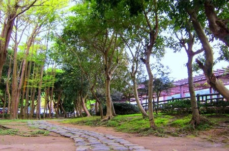 Park - path, tree, park, flower shelves