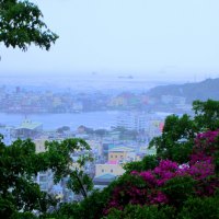 Harbor in the rain