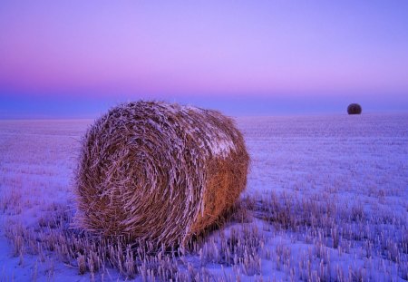 Dreaming field - fields, landscape, winter, wallpaper, nature, hd, snow, frost, freeze, drem