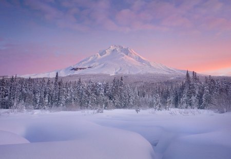 Winter in Eden - winter, snow, landscape, sunrise, morning, forest, dawn, white, sunset, nature, hd, mountains, wallpaper