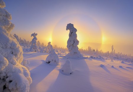 Sunrise in Eden - snow, landscape, sunrise, forest, naturem winter, white, sunset, freeze, hd, pine, frost, eden, sky, wallpaper