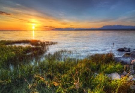 A Beautiful Place - nature, lonley, green, grass, day summer