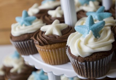 Summer cupcakes for you - summer, white, starfish, star, cream, blue, sweet, chocolate, food, sea