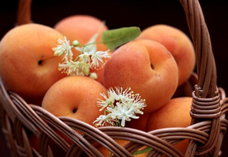 Fresh fruit - fresh, yummy, tasty, blossom, summer, apricot, basket, fruit