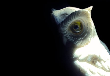 OWL STATUE - night, owl, dark, statue