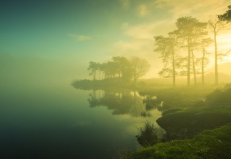 Foggy Lake - fog, nature, lake, foggy