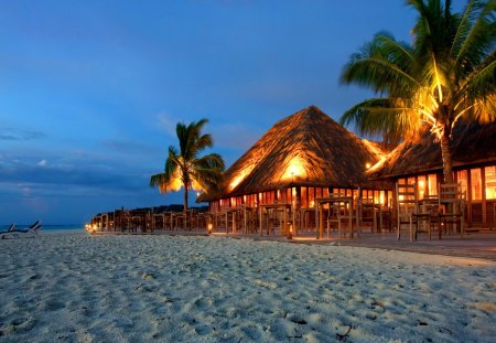 Tropical evening - summer, romantic, tropoical, evening, island, night, light, exotic, palm trees, bungalows, palms, water, sea, ocean, tropics, nature, sands, restaurant