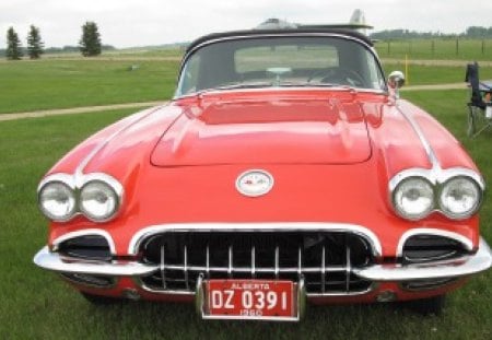 1960 Chevrolet corvette - headlights, red, grass, chevrolet, nickel, photography, corvette, trees, green