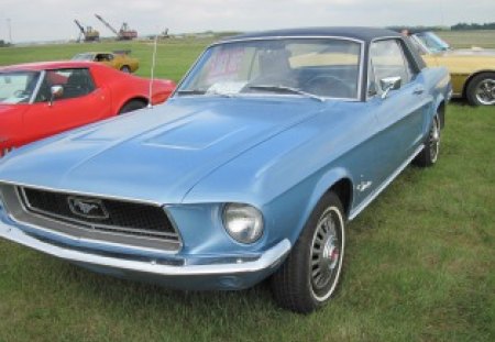 1968 Ford Mustang in the car show - photography, ford, black, car, red, blue, mustang, tire, green, grass