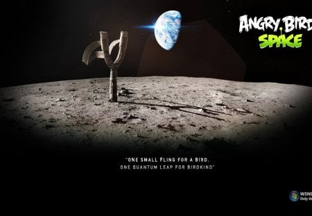 Angry birds - jogo, planeta, espaco, passaros, terra