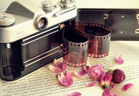 Love Photography