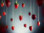 Hanging berries