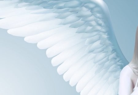 Angel wing - sexy, angel, girl, beautiful, wings, anime, lovely