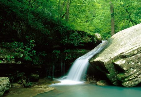 River and Creeks - trees, falls, day, daylight, water, moss, creek, nature, forest, blue, river, leaves, rock