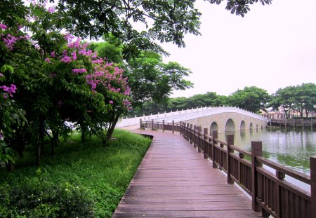 Lakeside trail - flowers, lakeside, trail, bridge