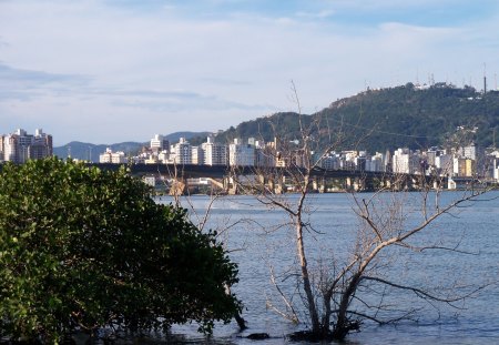 Pontes - cidade, ponte, natureza, mar