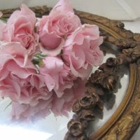 roses mirror for my friend softwind