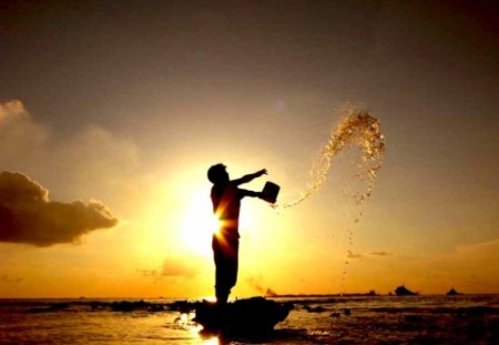 Gold Rush - toss, silhouette, beach, photography, sunset, creative, shadow, gold