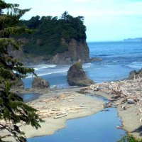 Washington Coast