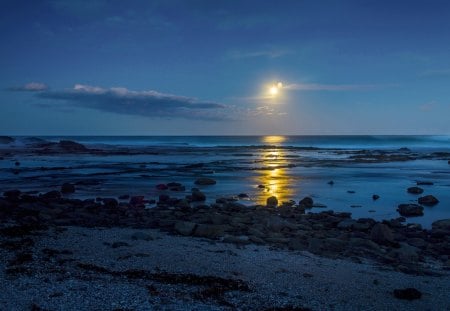 Blue Night - rocks, beautiful, beach, amazing, ocean, view, light, nature, moonlight, water, evening, beauty, stones, night, peaceful, shore, blue, sky, reflection, clouds, lovely, splendor, moon, sea