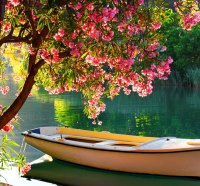 A boat in calm lake