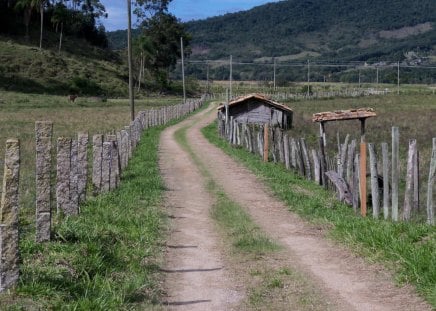 Sitio - pessoas, sitio, natureza, mata