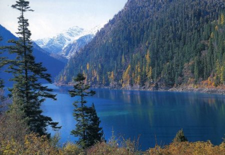 Blue Lake - trees, evergreens, water, blue, forest, daylight, mountain, nature, green, lake, day, sky