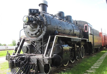 Train in the museum - black, Trains, red, green, grass, Headlight, Photography, White