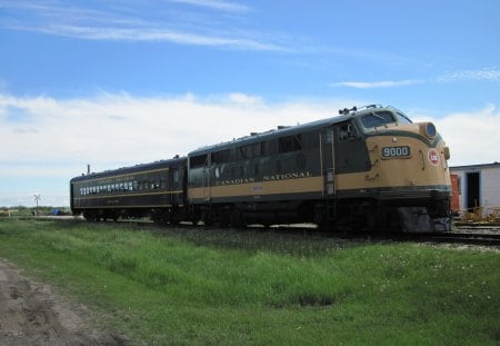 Train in the museum 2 - white, sky, clouds, blue, photography, green, trains, grass