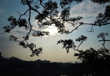 Branches - sky, building, lake, sun, branch, cloud, alch, liuchia, leaves, tree