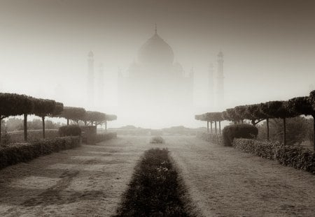 TAJ - MAHAL - arquitetura, monumento, natureza, belissima