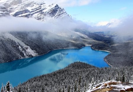 LAGO  PEYTO - natureza, montanha, azul, arvores, lago