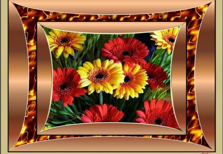 DAISY COLLAGE - daisies, double frame, colourful, bronze