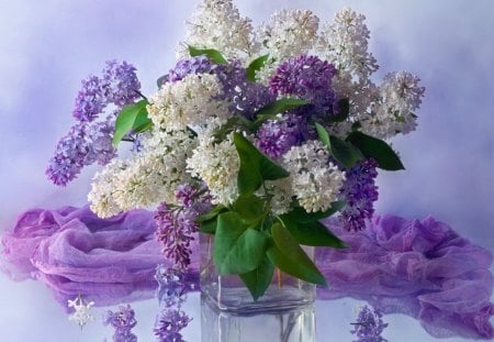 Still life - pretty, vase, delicate, beautiful, lilav, lovely, still life, bouquet, vail, flowers, white, purple, soft, violet, nice