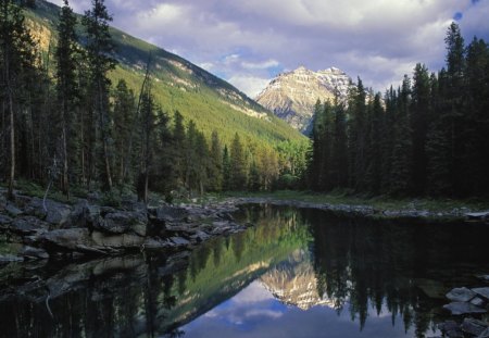 Forest River - clouds, trees, water, grass, forest, reflection, daylight, mountain, river, nature, field, day, sky, limbs, rocks