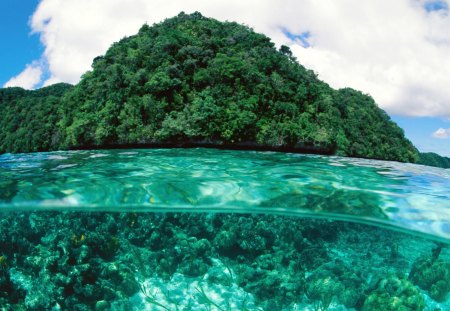 Under the Surface - clouds, trees, water, blue, island, forest, daylight, surface, nature, plants, lake, day, sky