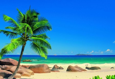 Summer get away - nature, summer, beach, blue sky, sands, tree, rocks