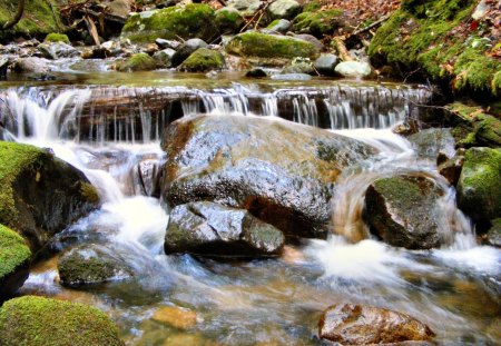 Stream - stream, water, rocks, photography